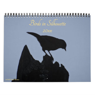 Birds in Silhouette Nature Photography 2025 Photo Calendar