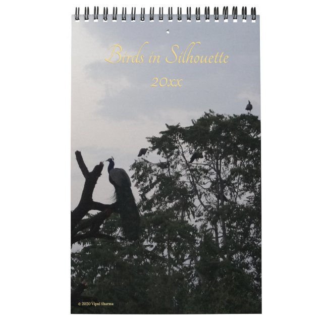 Birds in Silhouette Nature Photography 2026 Wall Calendar (Cover)