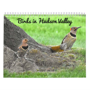 Birds in the Hudson Valley Calendar