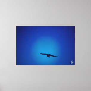 Birds in the sky #1 canvas print