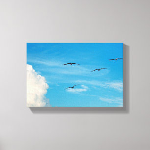 Birds in the Sky Canvas Print