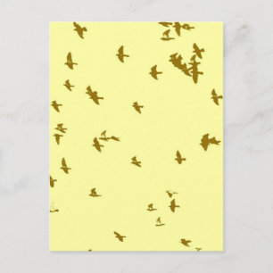 Birds in the Sky Postcard