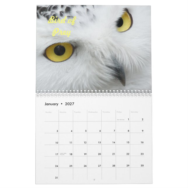 Birds in the Wild Calendar (Jan 2027)