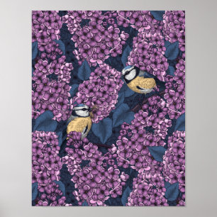 Birds in violet lilac garden poster