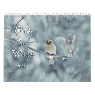Birds in Winter 2015 Calendar