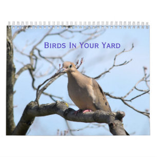 Birds In your yard Calendar
