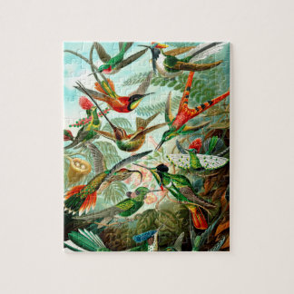 Birds Jigsaw Puzzle
