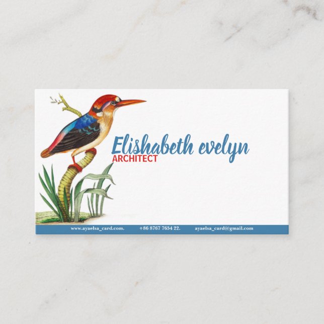 Birds Kingfisher Vintage Art Business Card (Front)
