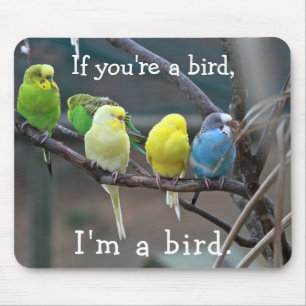 Birds Love Quote Parakeets Budgies Photo Mouse Mat
