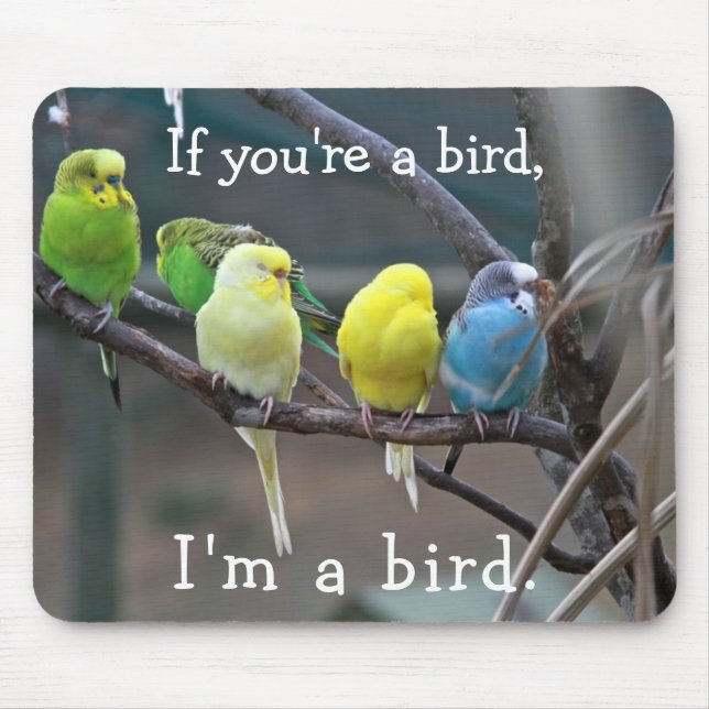 Birds Love Quote Parakeets Budgies Photo Mouse Mat (Front)