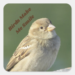 Birds Make Me Smile Small Brown Sparrow Square Sticker