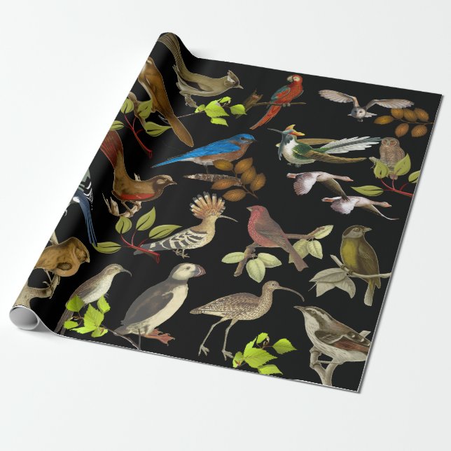 Birds & More Birds Wrapping Paper (Unrolled)