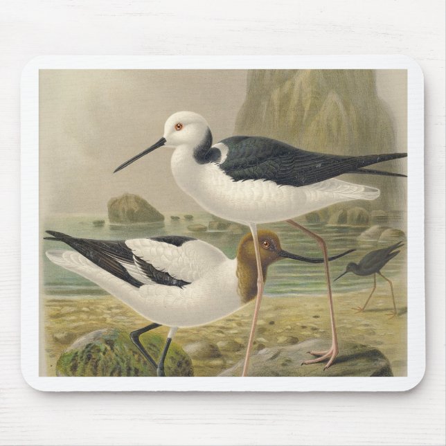 Birds Mouse Mat (Front)