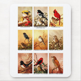 Birds Mouse Mat