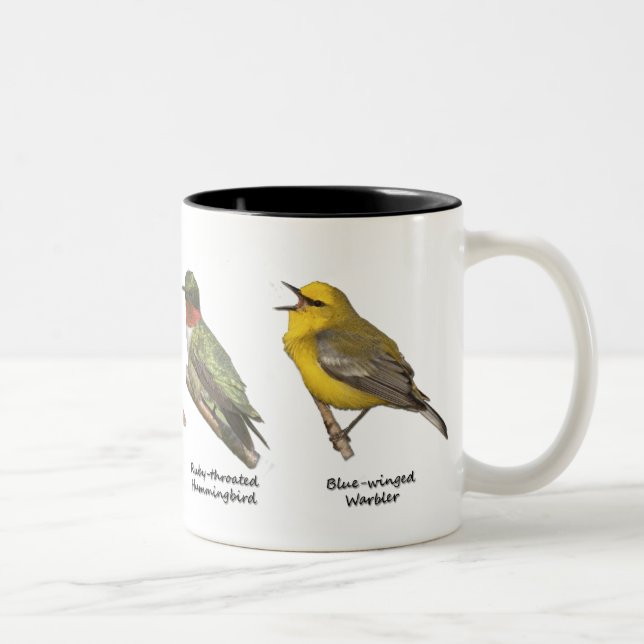 Birds Mug (Right)