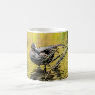Birds Mug