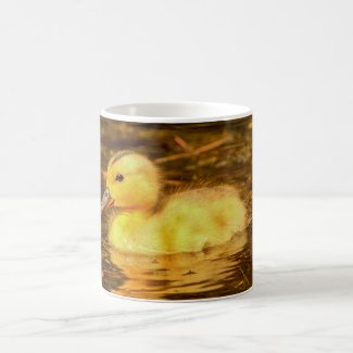 Birds Mug