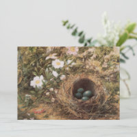 Bird's Nest and Dog Roses by John William Hill