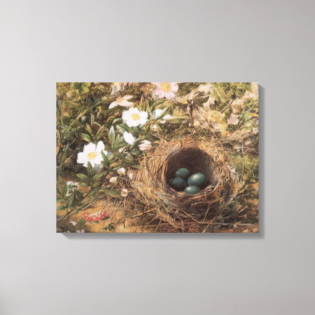 Bird's Nest and Dog Roses by John William Hill Canvas Print (Front)