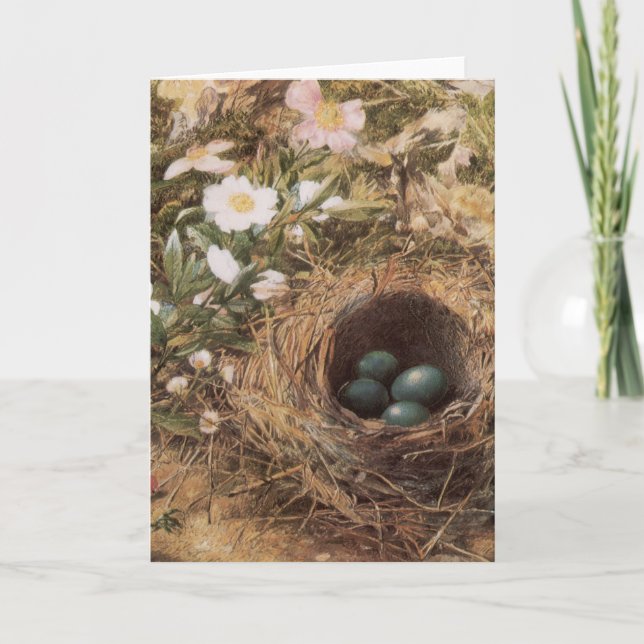 Bird's Nest and Dog Roses by John William Hill Card (Front)