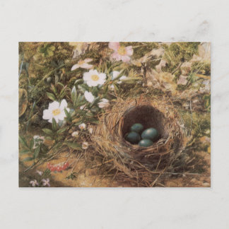 Bird's Nest and Dog Roses by John William Hill Postcard