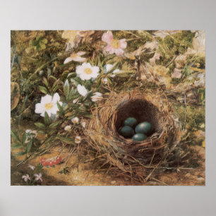 Bird's Nest and Dog Roses by John William Hill Poster