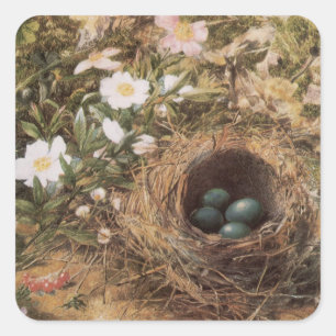Bird's Nest and Dog Roses by John William Hill Square Sticker