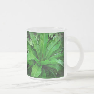 Bird's Nest Fern Frosted Glass Coffee Mug
