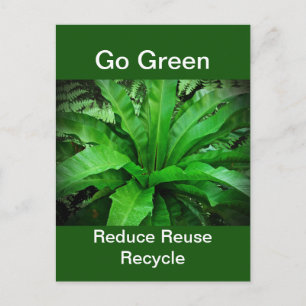 Bird's Nest Fern - Go Green Postcard