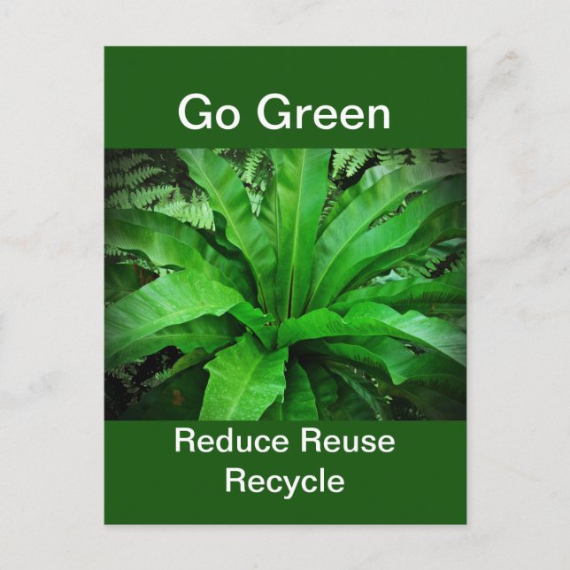 Bird's Nest Fern - Go Green Postcard (Front)