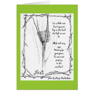 Birds Nest in Winter sketch in ink with poem