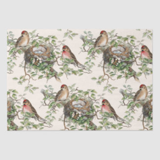Birds Nest Leaves Vintage Redpoll Songbird Ivory Tissue Paper