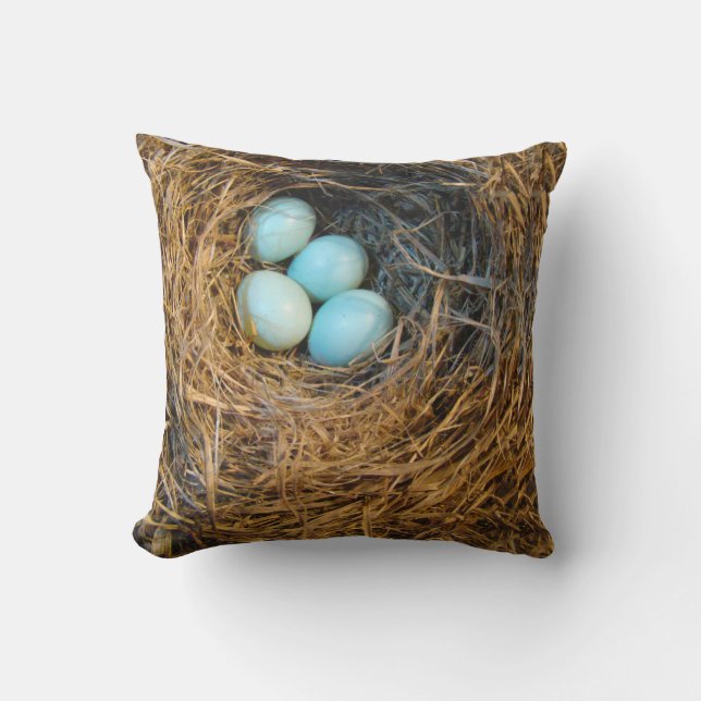 Birds Nest Pillow (Front)