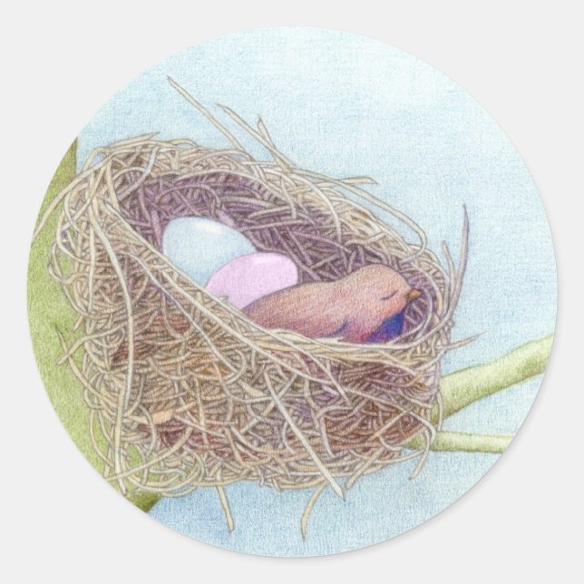 Birds Nest Sticker (Front)