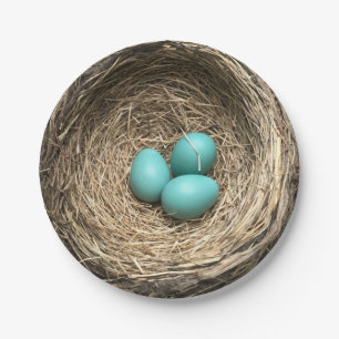 Birds Nest with Blue Eggs Paper Plate