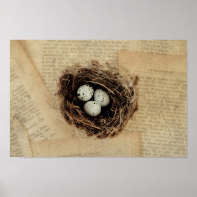 Bird's Nest With Eggs Modern Vintage Easter Poster (Front)