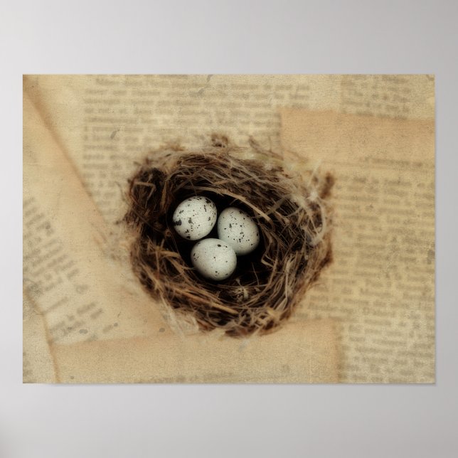 Bird's Nest With Eggs Modern Vintage Easter Poster (Front)