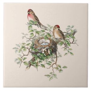 Birds Nesting Background Tile