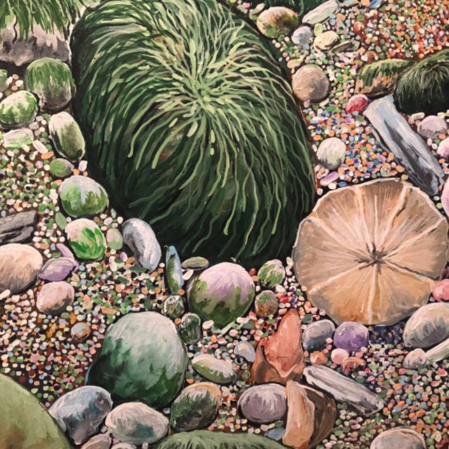 Birds new collection cutting board (A Sand Dollar On the Beach in its Natural Setting. An Acrylic Painting.)