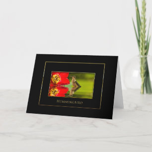 Birds Note Cards