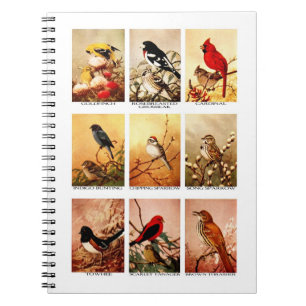 Birds Notebook