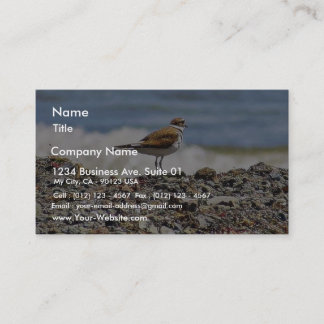 Birds Oceans Beaches Business Card