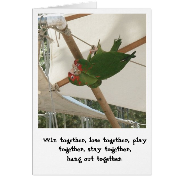 Birds of a Feather (Front)