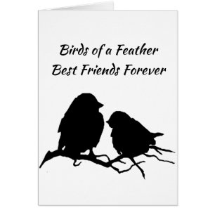 Birds of a Feather Best Friends Forever