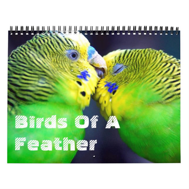 Birds Of A Feather Calendar (Cover)