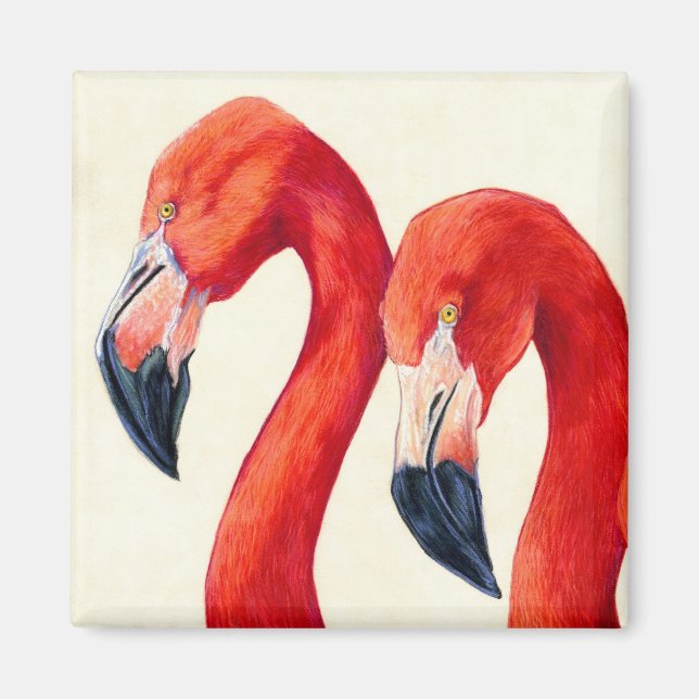 Birds Of A Feather - Greater Flamingos Magnet (Front)