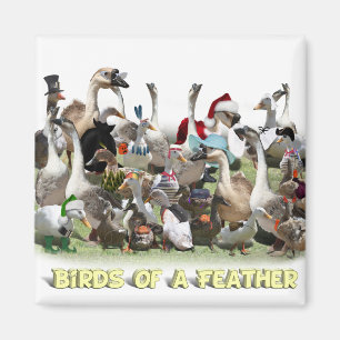 Birds of a Feather Magnet