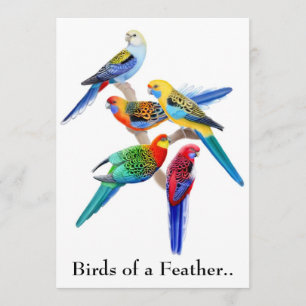Birds of a Feather Parrots Party Invitation
