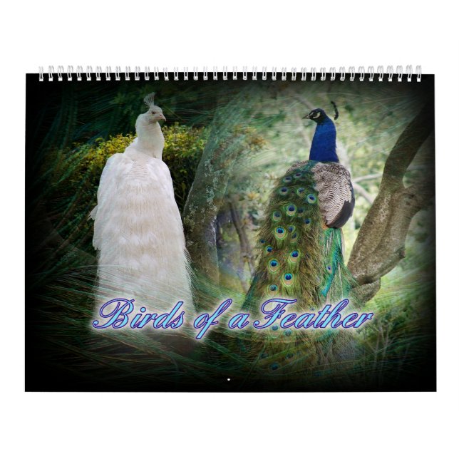 Birds of a Feather Peacock Calendar (Cover)
