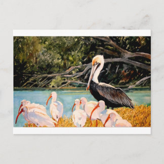 Birds of a Feather Postcard